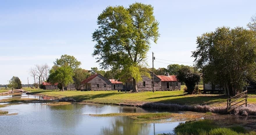 Lakeside countryside tour with trees and rustic cabins