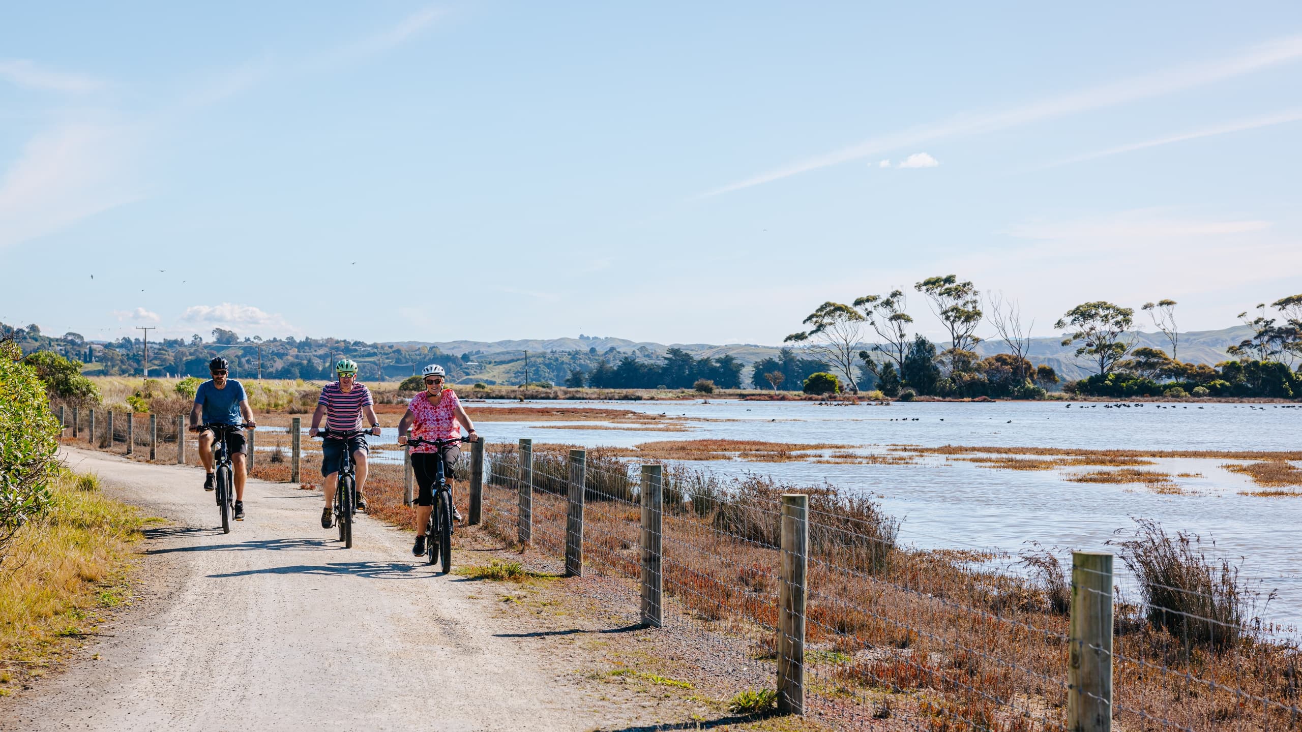 Cycling the Coast & Wineries with Napier City Bike Hire