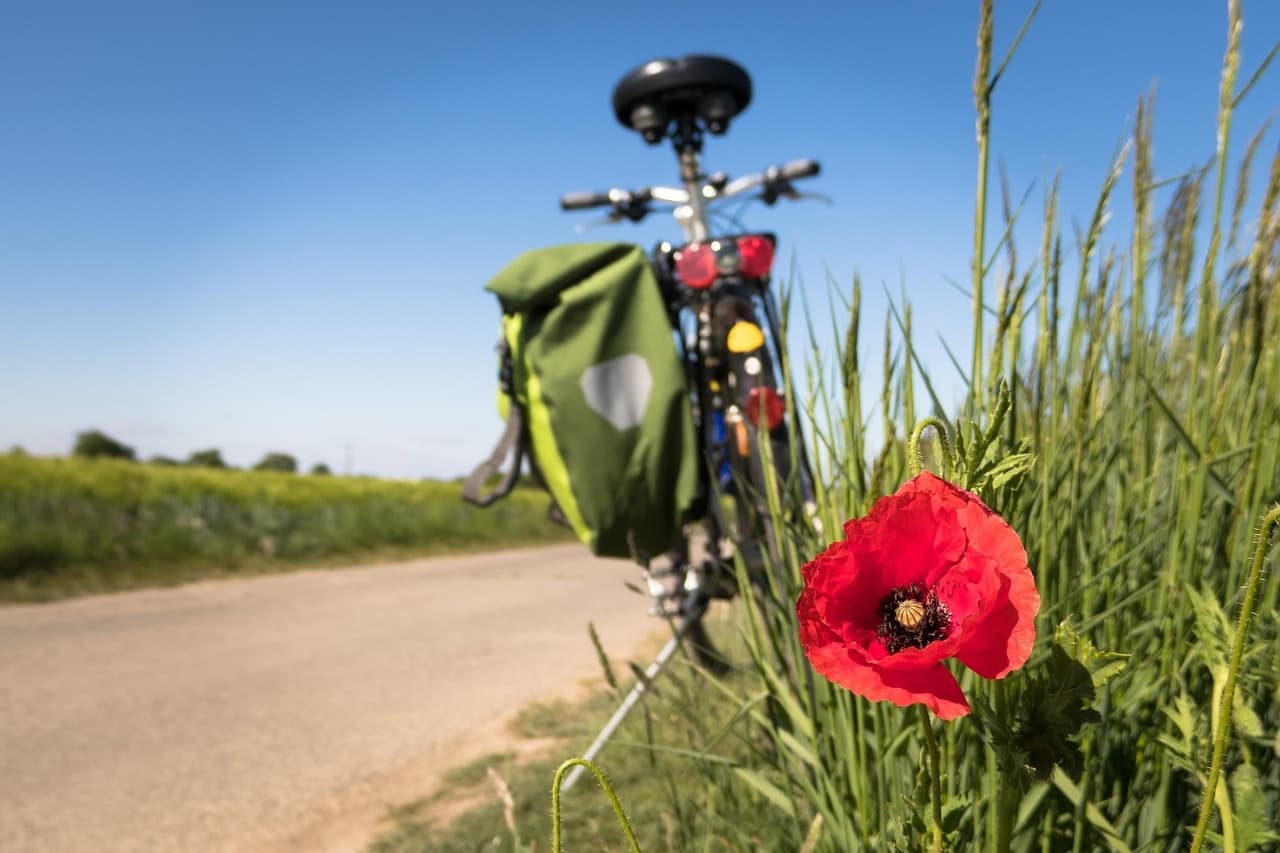 Bike Rentals with beCopenhagen: Discover Denmark’s Capital