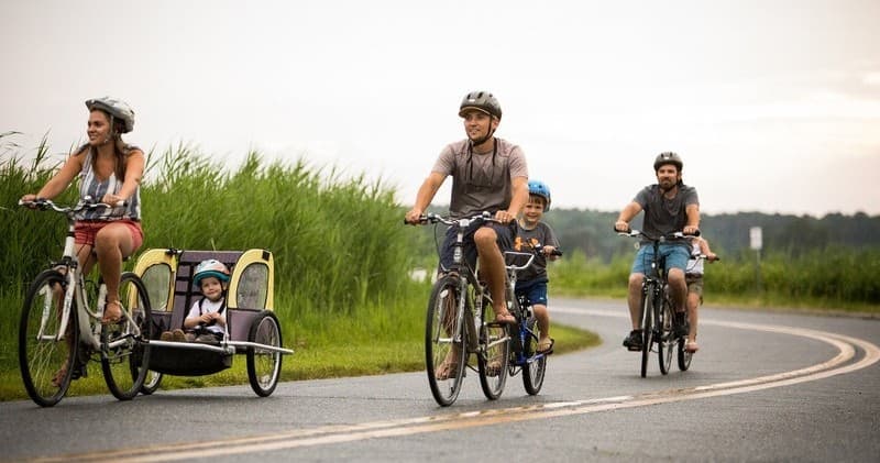 Wildlife & Nature Bike Tour at Blackwater National Wildlife Refuge
