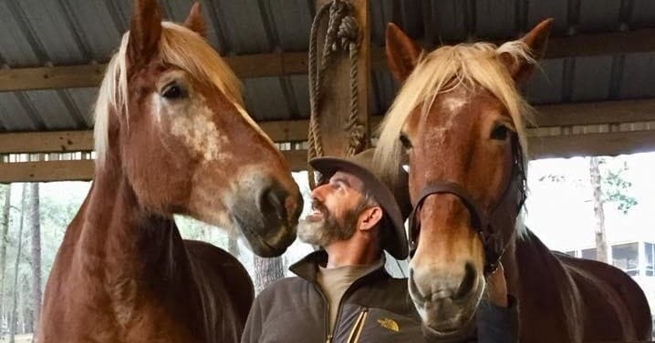 Haunted H.B. Plant Museum Tour: Private Horse-Drawn Ghost Ride at Plant Hall