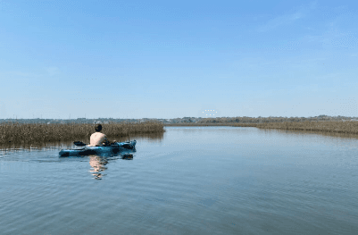Paddle Masonboro Island: Guided Kayak Adventure Through Wilmington’s Intracoastal Waterways