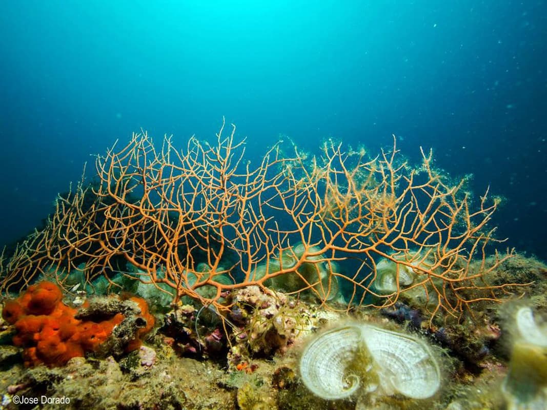 Diving Adventure at Nautic Parc Costa Daurada I Terres De L’Ebre