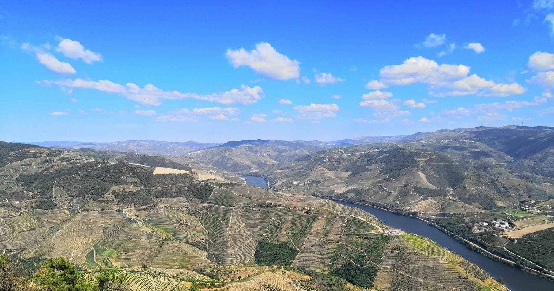 Water Activities: Tomaz do Douro Scenic Boat Trip from Régua to Porto
