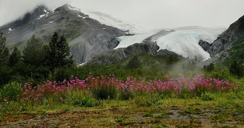 Valdez Off Road Adventures fleet
