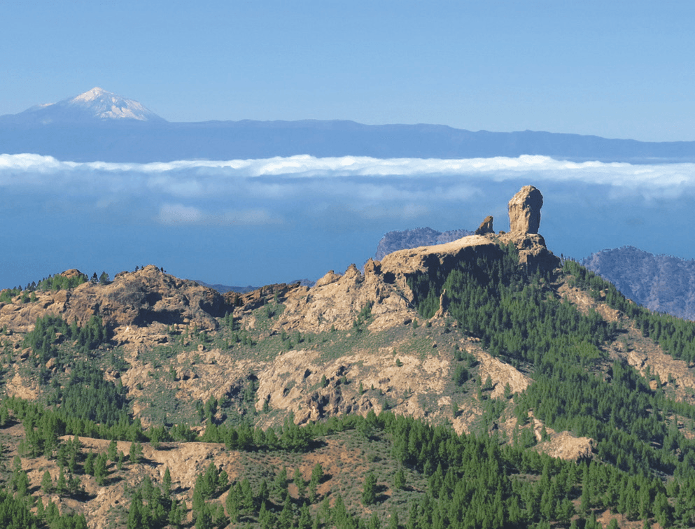 Gran Canaria Hiking & Sightseeing Adventure Highlights