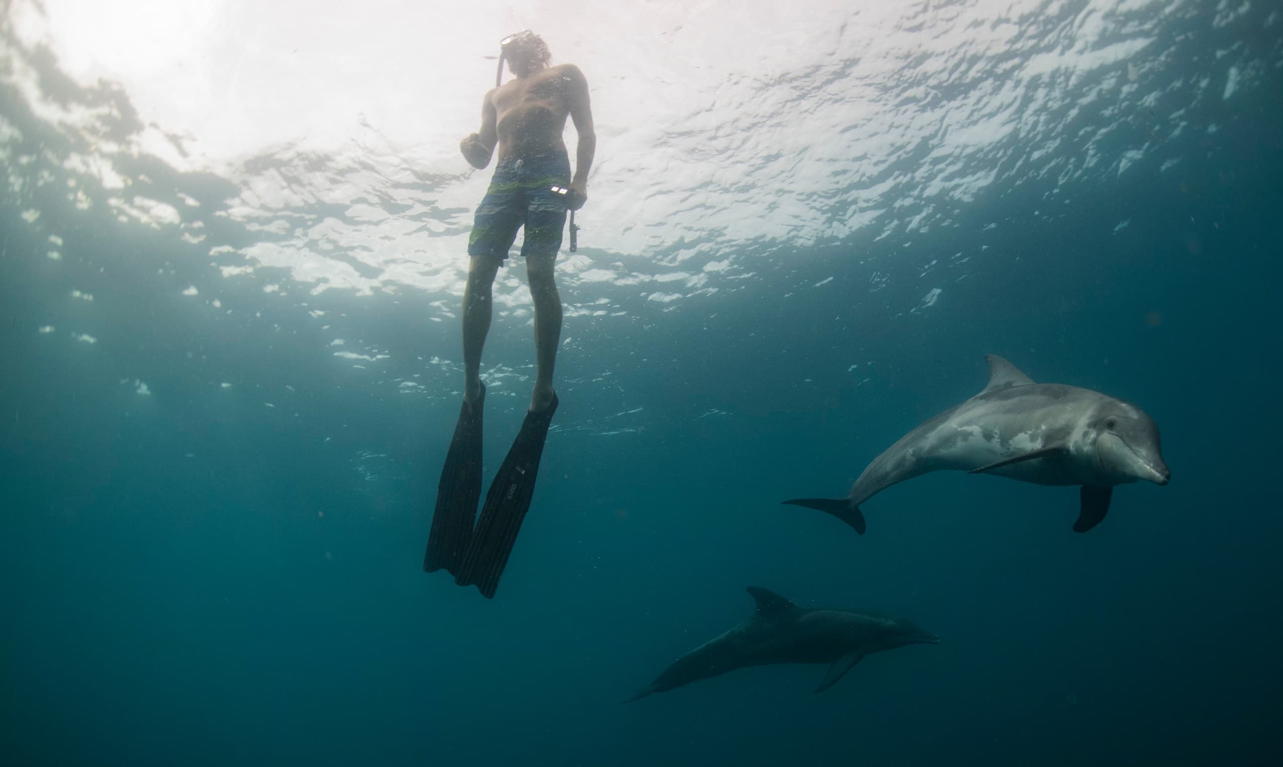 Freediving Course - Wave 1 at XELA Expeditions in West Palm Beach