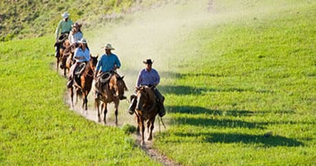 Guided horseback trail riders crossing open green pasture on ranch