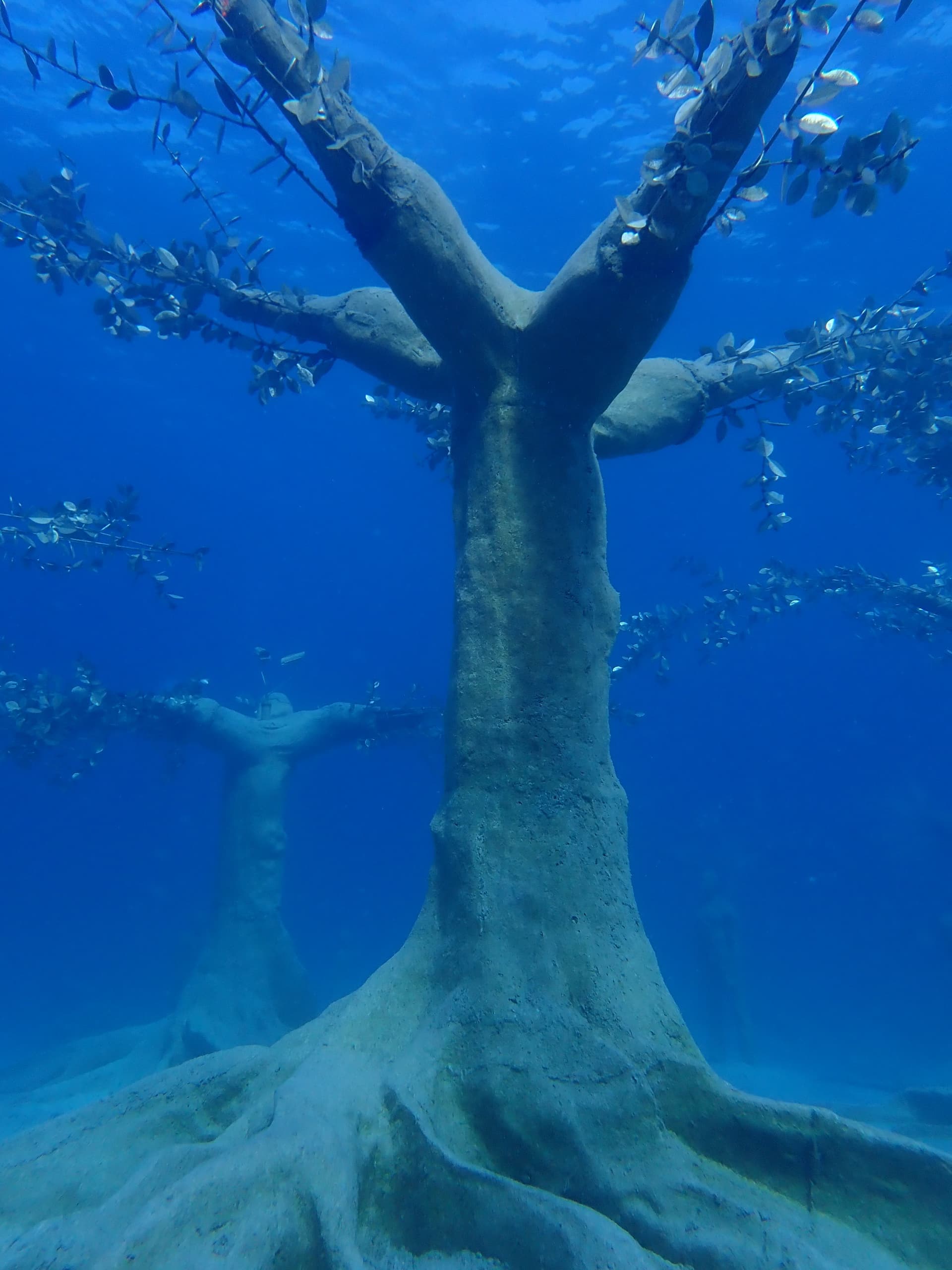Dive MUSAN: Scuba the Underwater Sculpture Park Off Ayia Napa photo 1