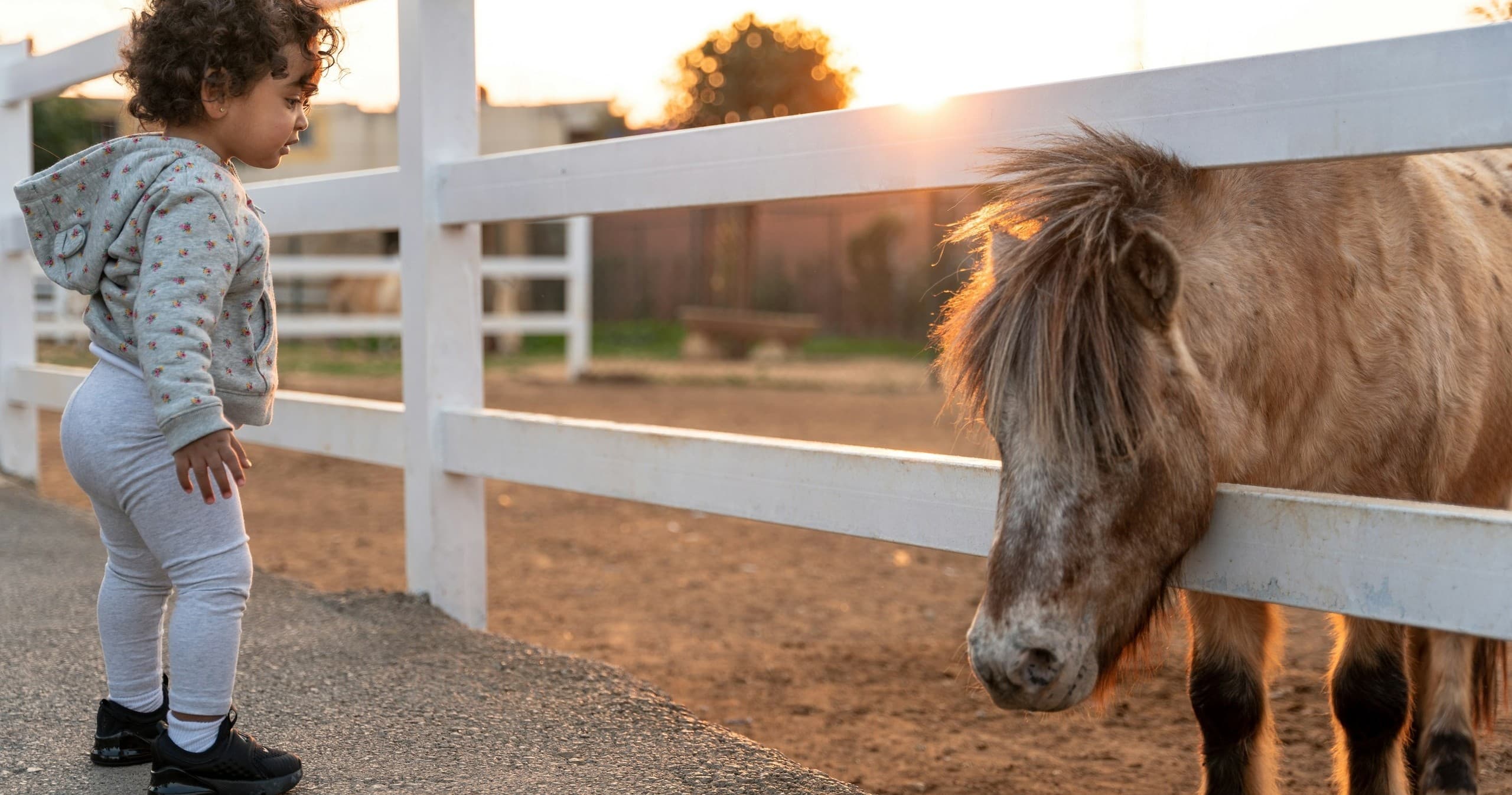 Pony Class in Sayreville, NJ: Fun Horse Riding for Kids