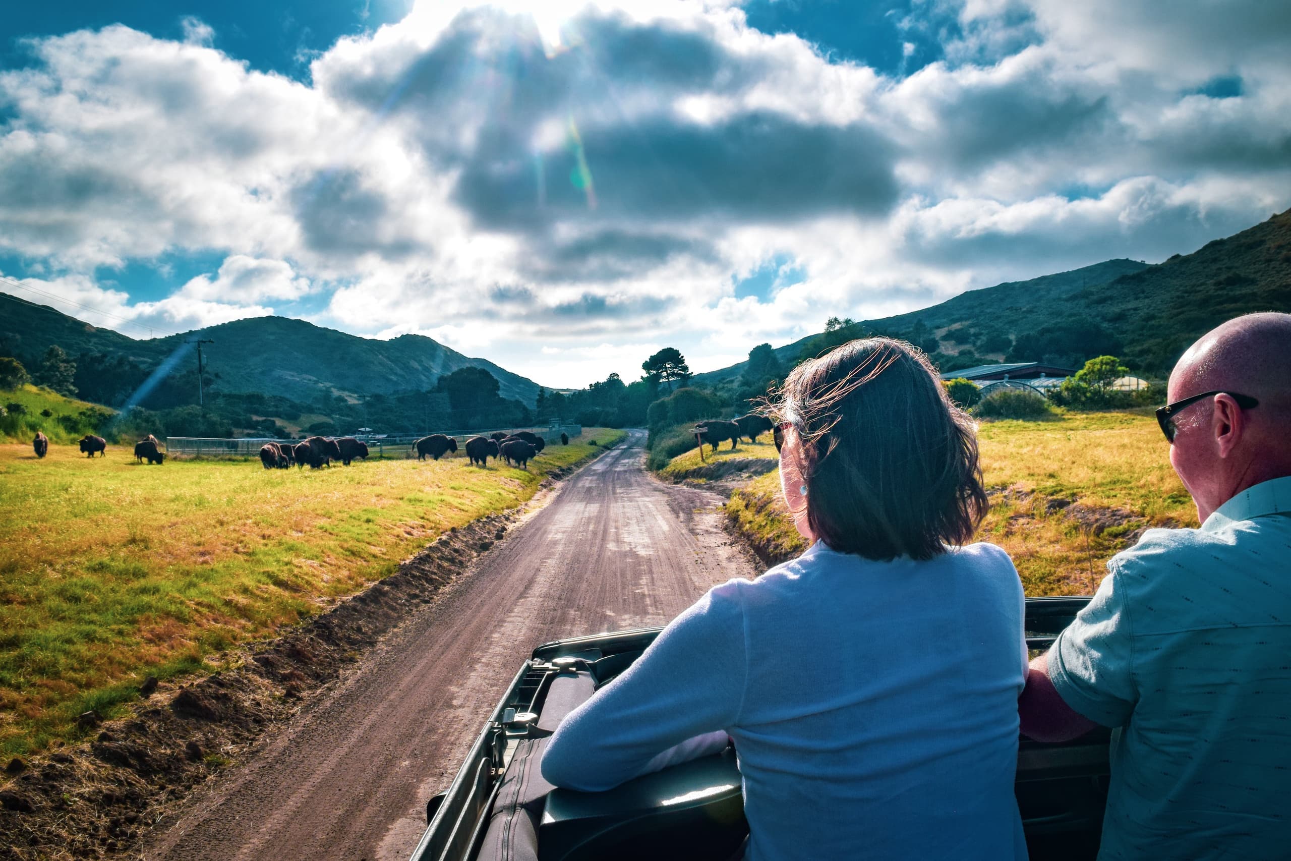 2.5 Hour Private Eco Tour | Private in Avalon, California