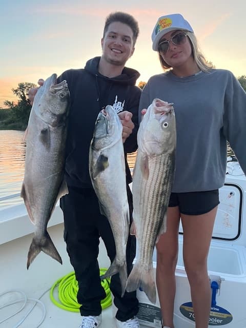Anglers holding striped bass and bluefish at sunset on sportfishing boat