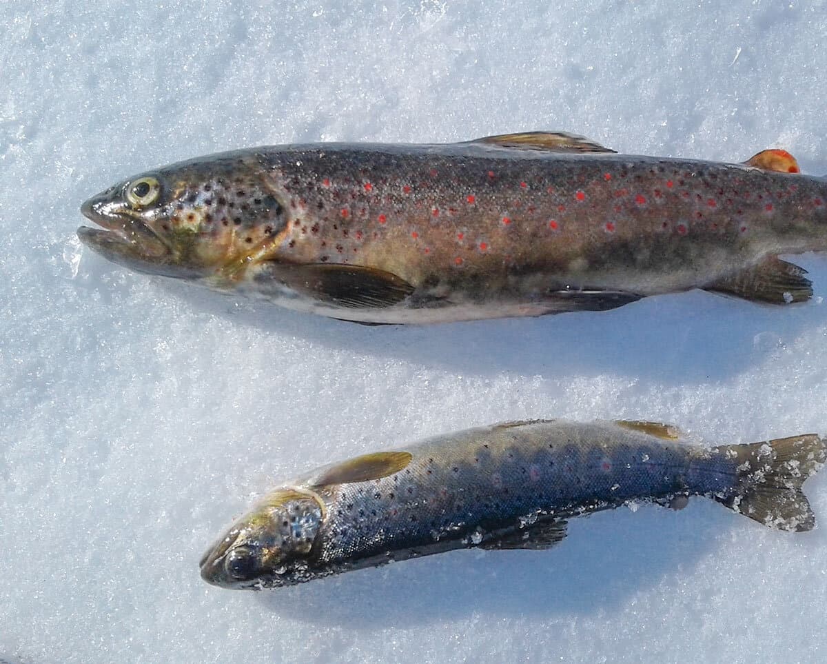 Winter Ice Fishing at Uteplassen Sogndal
