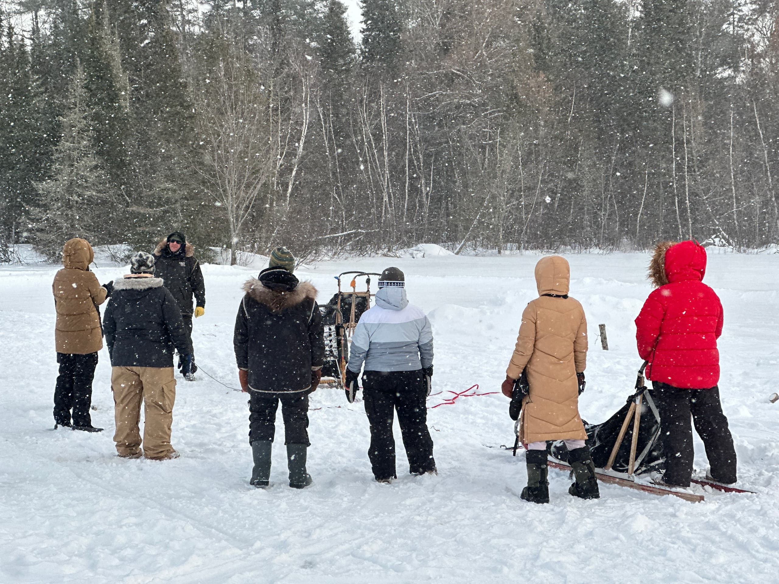 Full-Day Dogsledding with Cast Outdoor Adventures in Ely