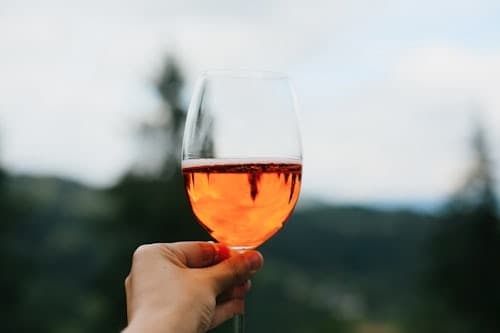 As You Like It! Wine Country Tours team
