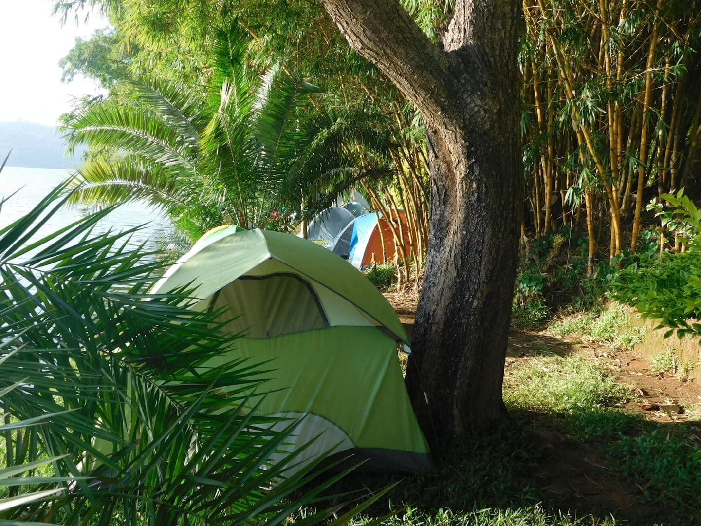 Camp Comfortably on Kauai: All-in-One Camping Gear and Concierge for 1–10 Night Stays