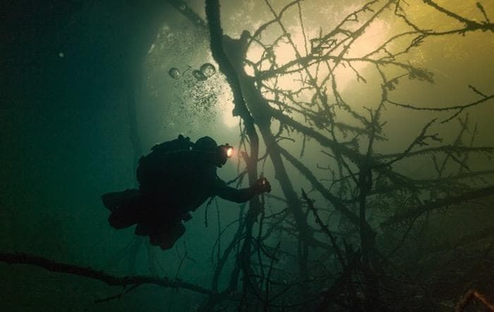 Cenote Diving Adventures with Deep Life in Cancún