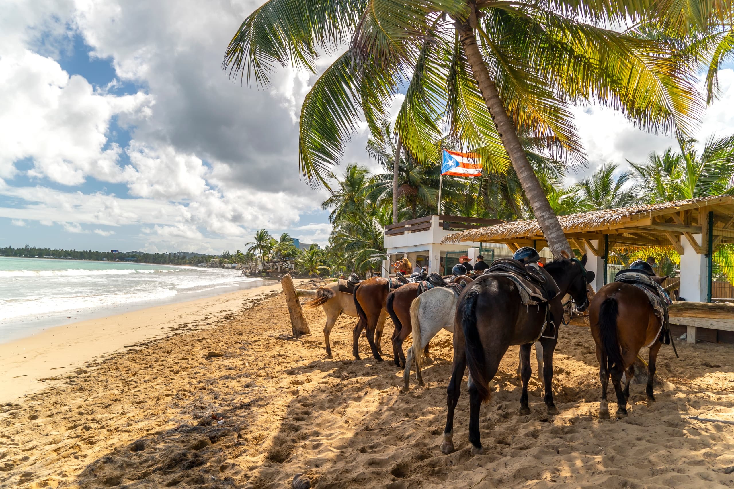 2.5-Hour Beach Horseback Ride in Luquillo, Puerto Rico