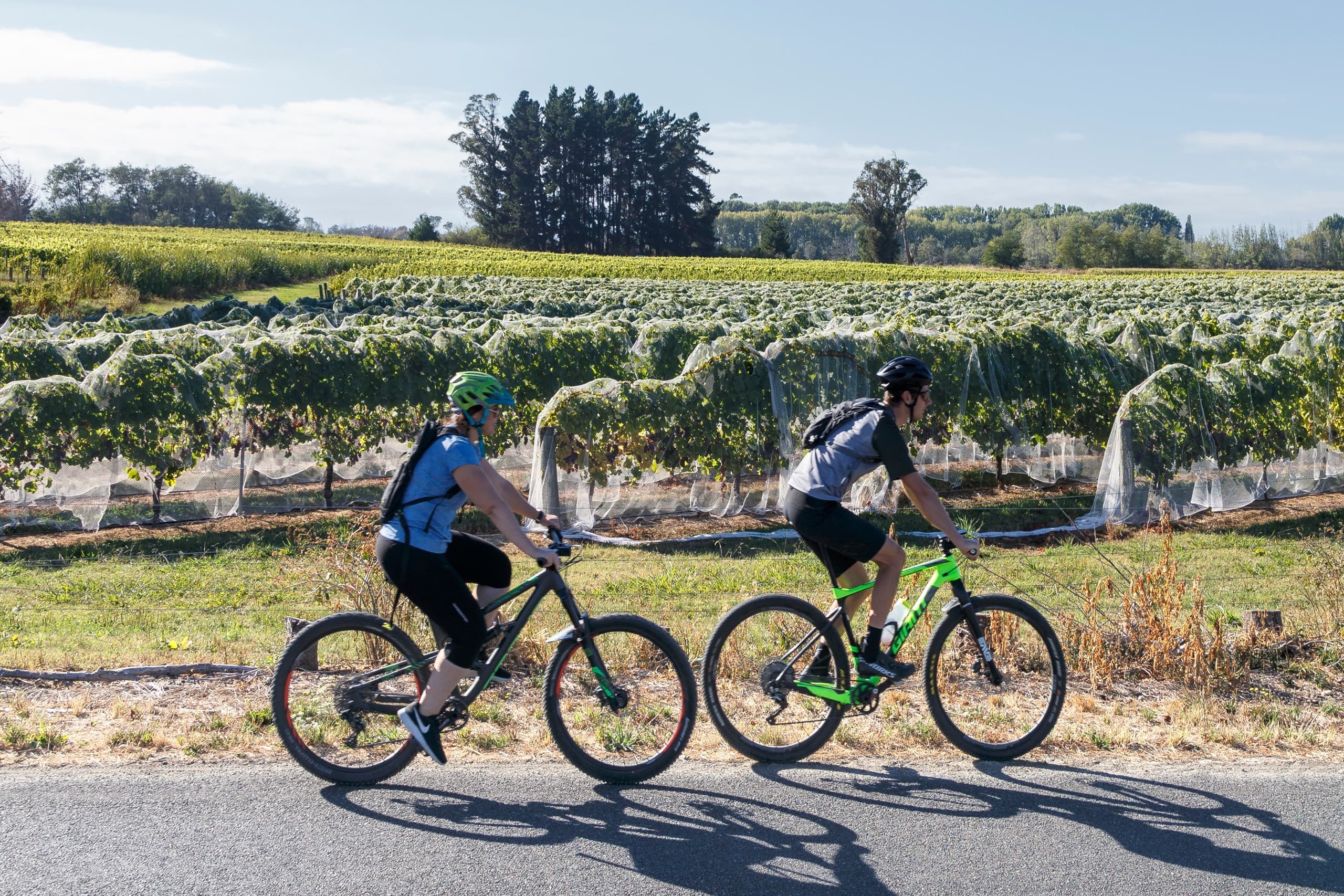 Pedal & Pour: Guided E-Bike Beer and Wine Tour in Nelson Region photo 1