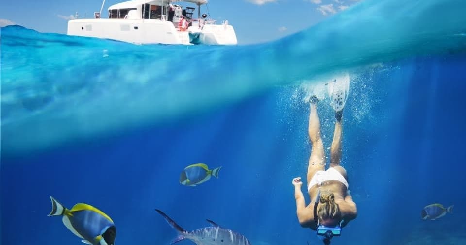 Snorkeler diving beside reef under clear blue tropical water