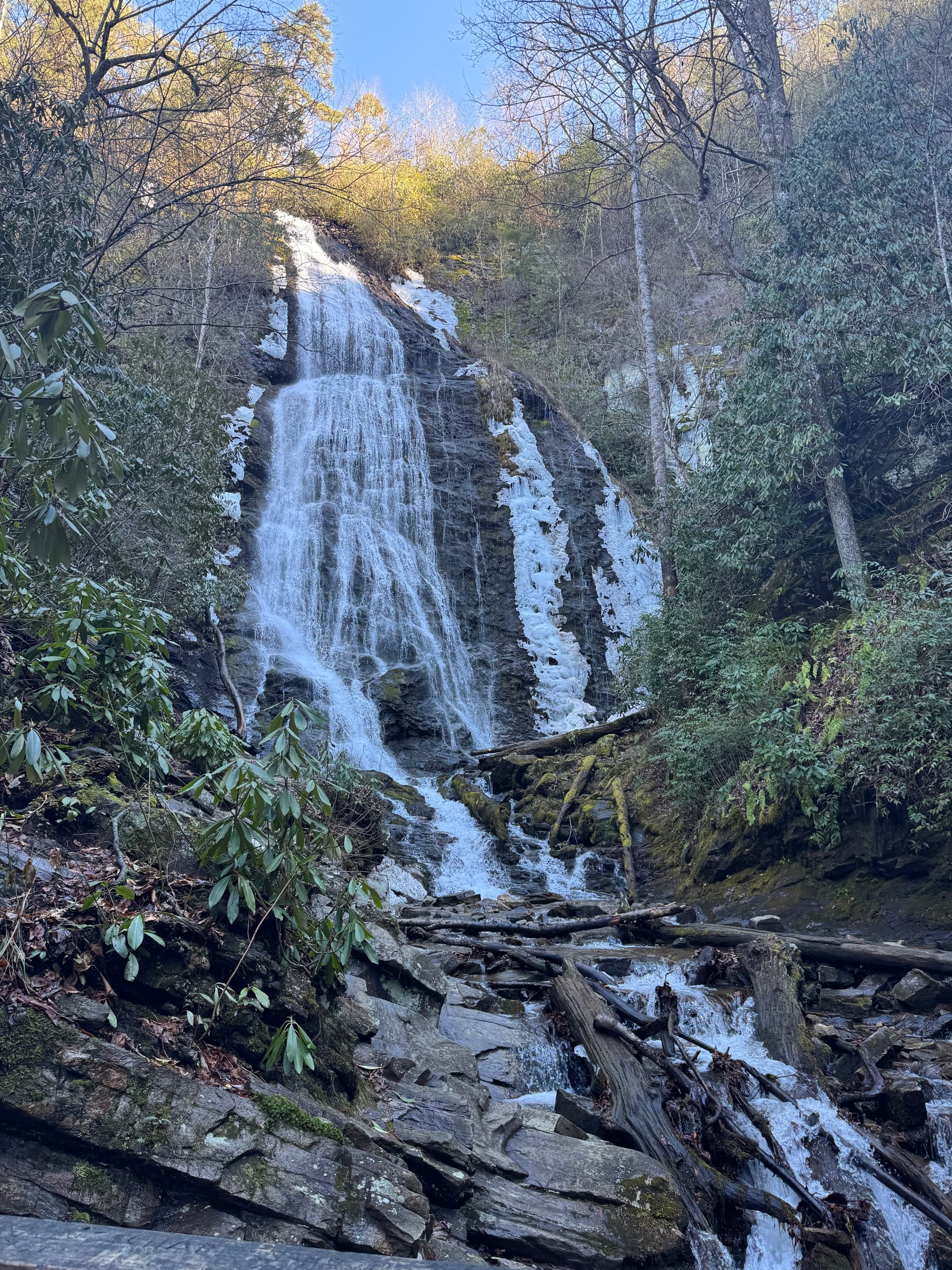 TP's Day Trip Adventures, LLC fleet