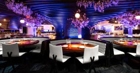 STK Brunch Experience in Las Vegas’s Hottest Spot