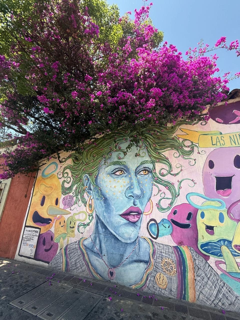 Cultural Walking Tour in Oaxaca's Historic District - The Adventure Collective