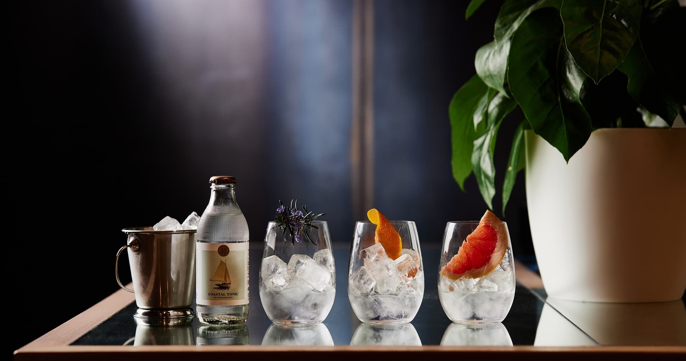 Land Adventures at FORTY SPOTTED Gin Distillery in Pontville