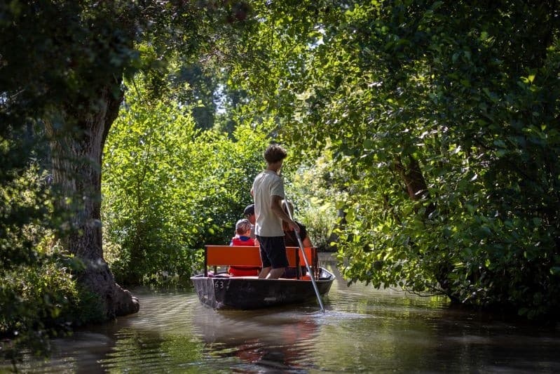 Solo punter steering flatboat through shaded tree tunnel