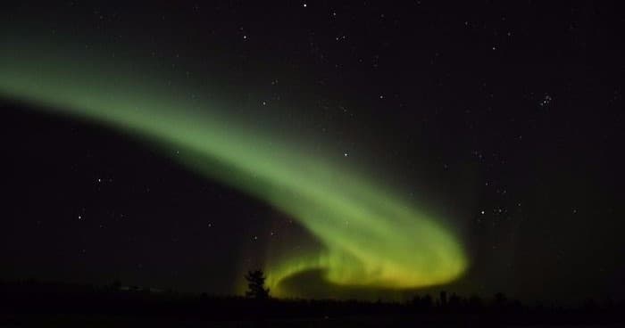 Northern Lights over Arctic forest, night aurora viewing experience