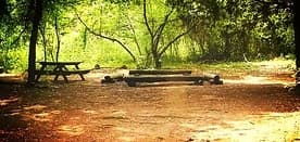 Large Group Campsite Near Danielsville, Georgia — Rent for Up to 20 Guests