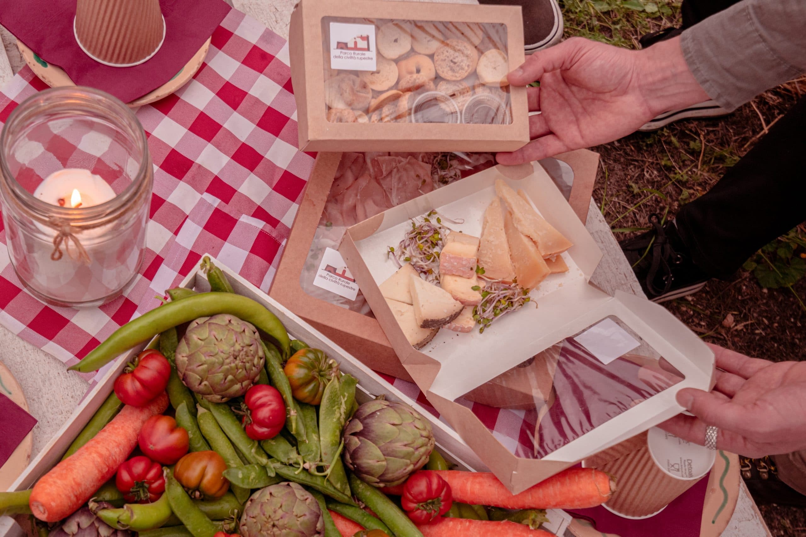 Picnic spread with cheeses and vegetables on countryside grass