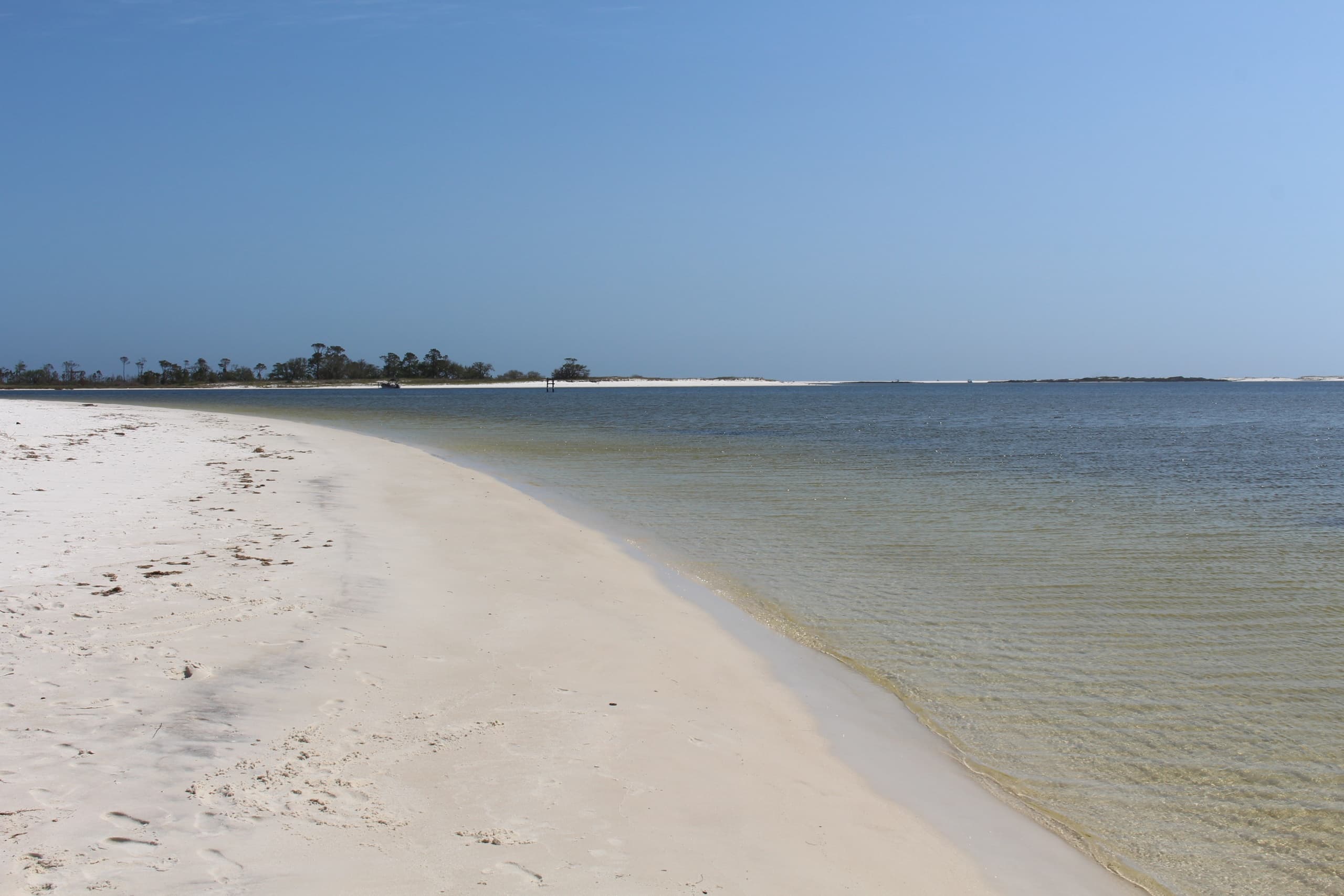 Boat Rental Adventures with Gulf Coast Pontoon Rental LLC