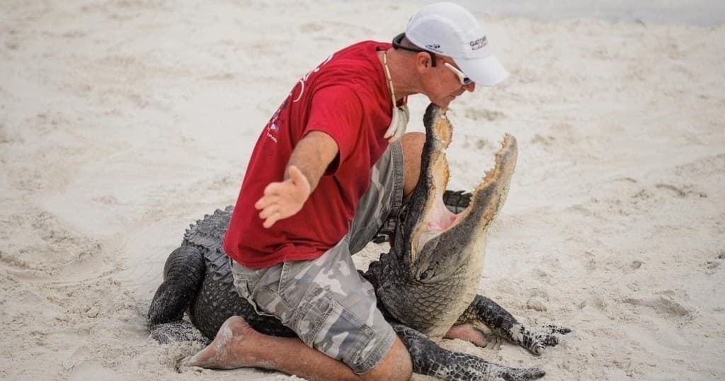 Thrilling Gator Boys Alligator Show at Everglades Holiday Park in Fort Lauderdale