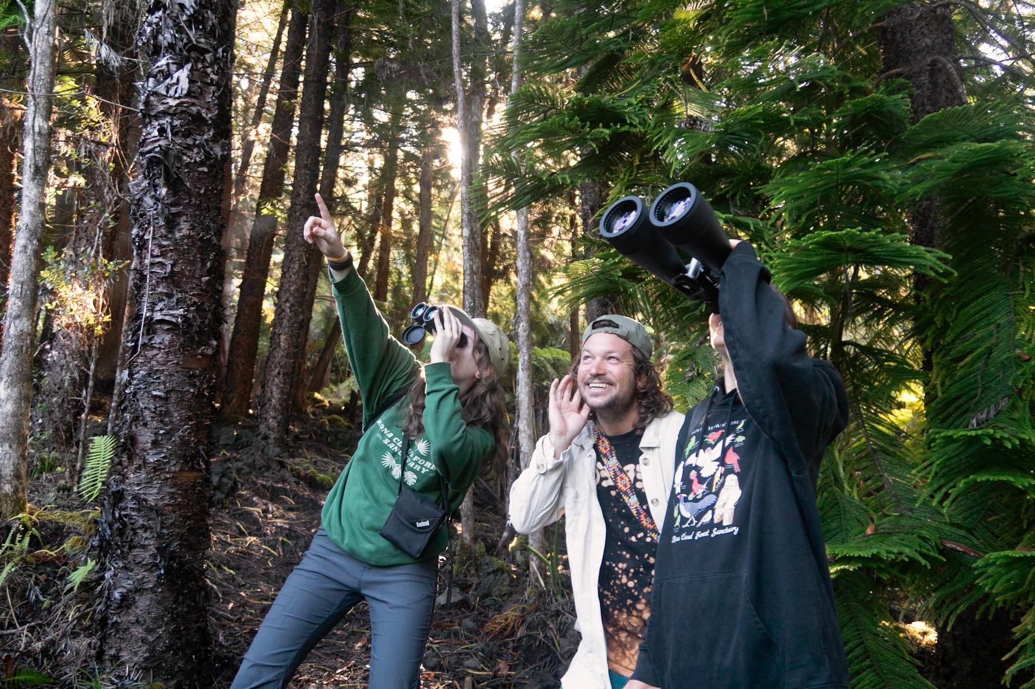 Discover Hawai‘i Island’s Kona Cloud Forest with an Early Morning Guided Birding Tour