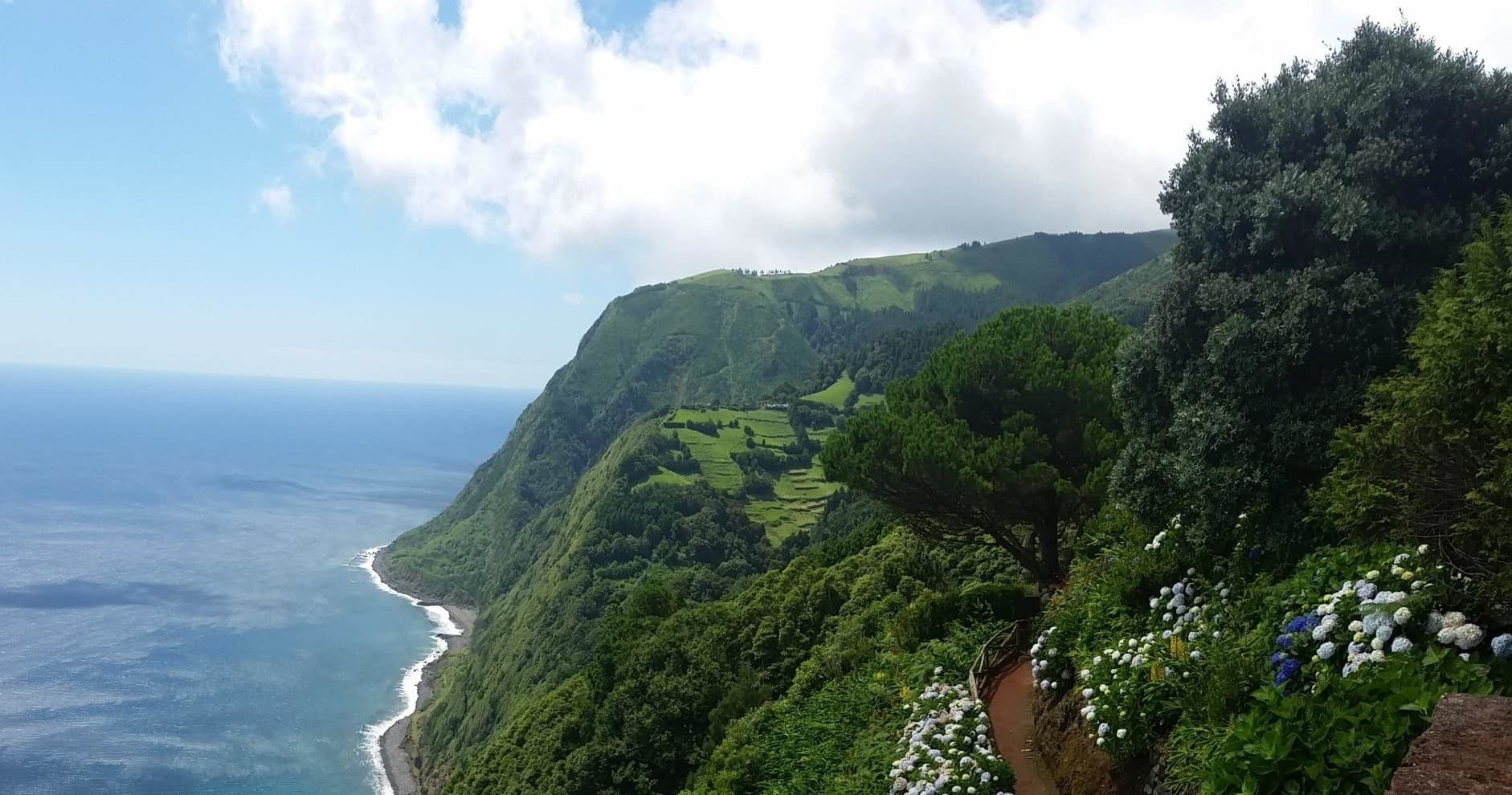 Azorean Tours’ Nordeste & Fire Lake Private Adventure