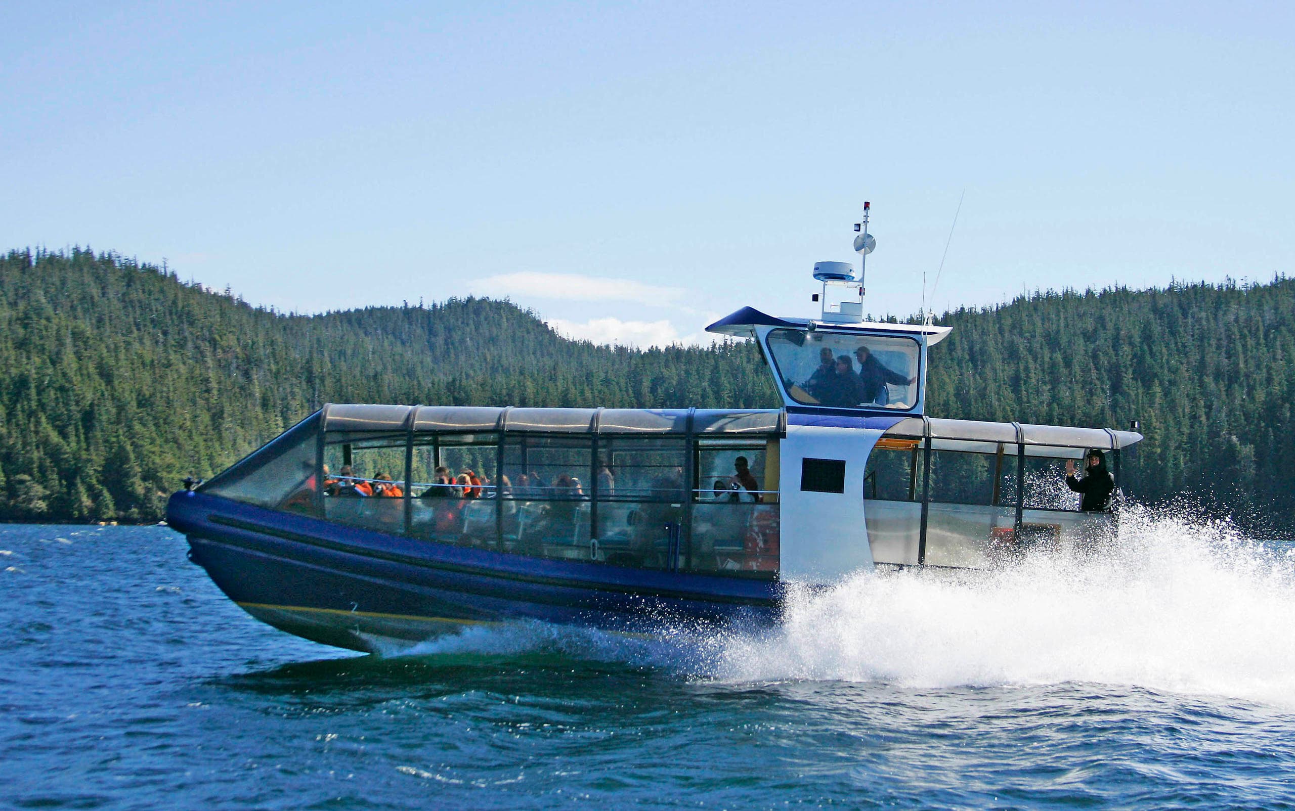Tofino Bear Watching Cruises with Jamie’s Whaling Station