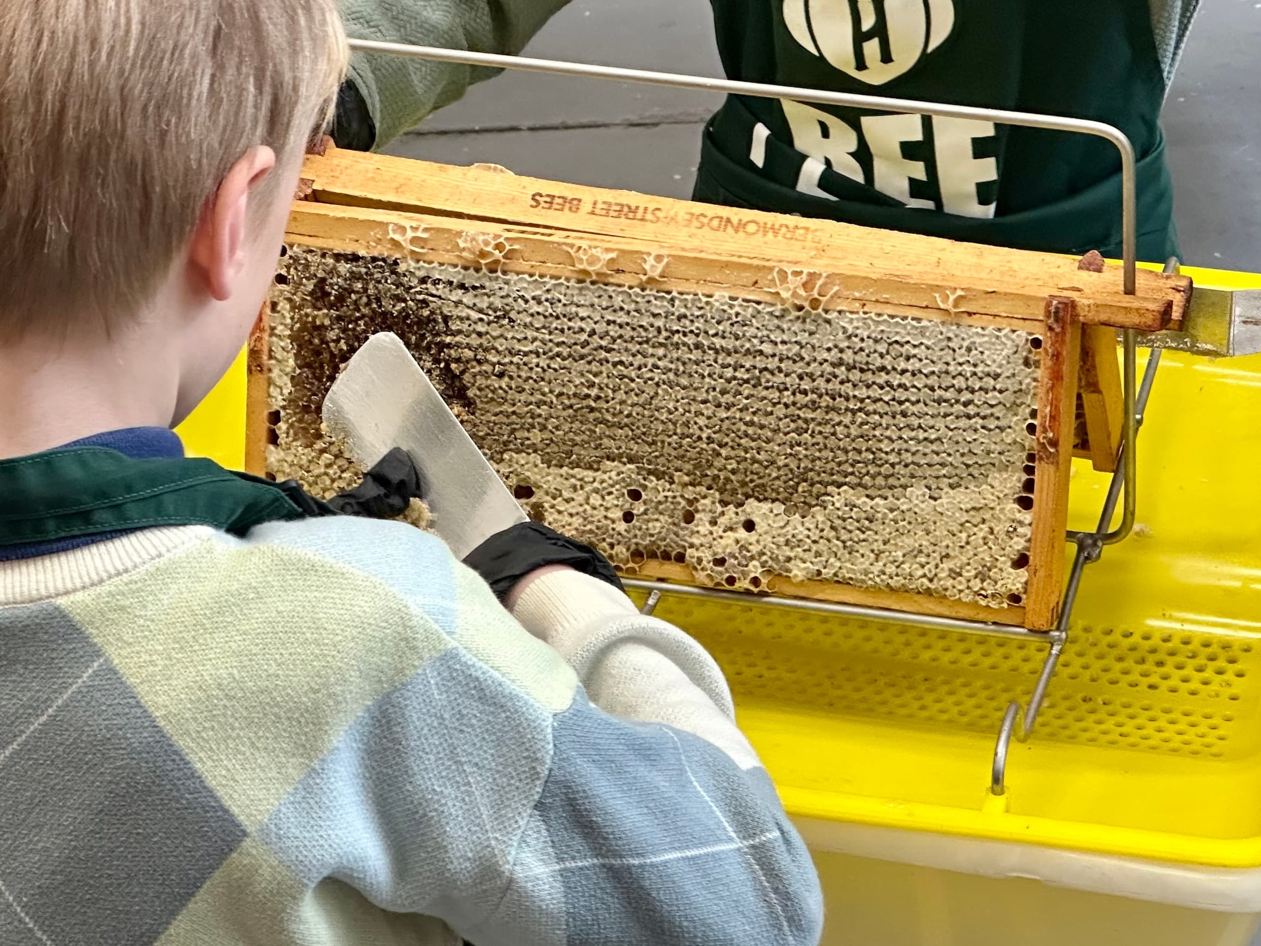 School Holiday Honey Harvest Workshop: Hands-On Beekeeping for Kids Near London Bridge photo 3
