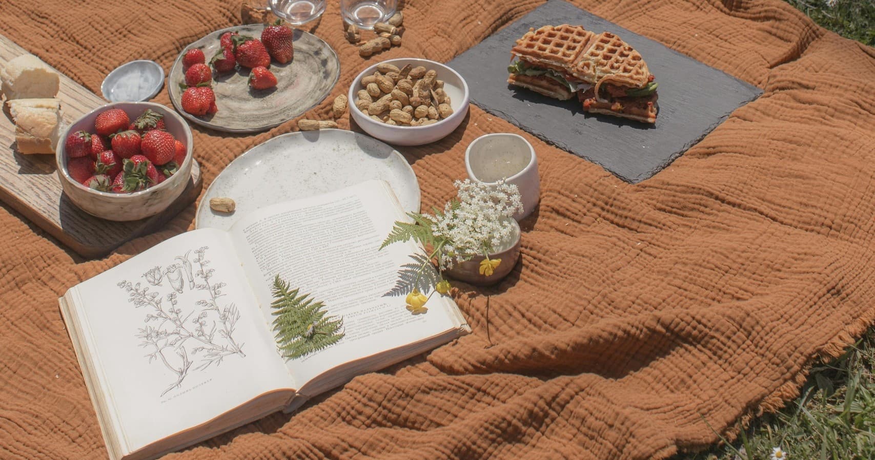 Picnic spread with book and berries on meadow blanket