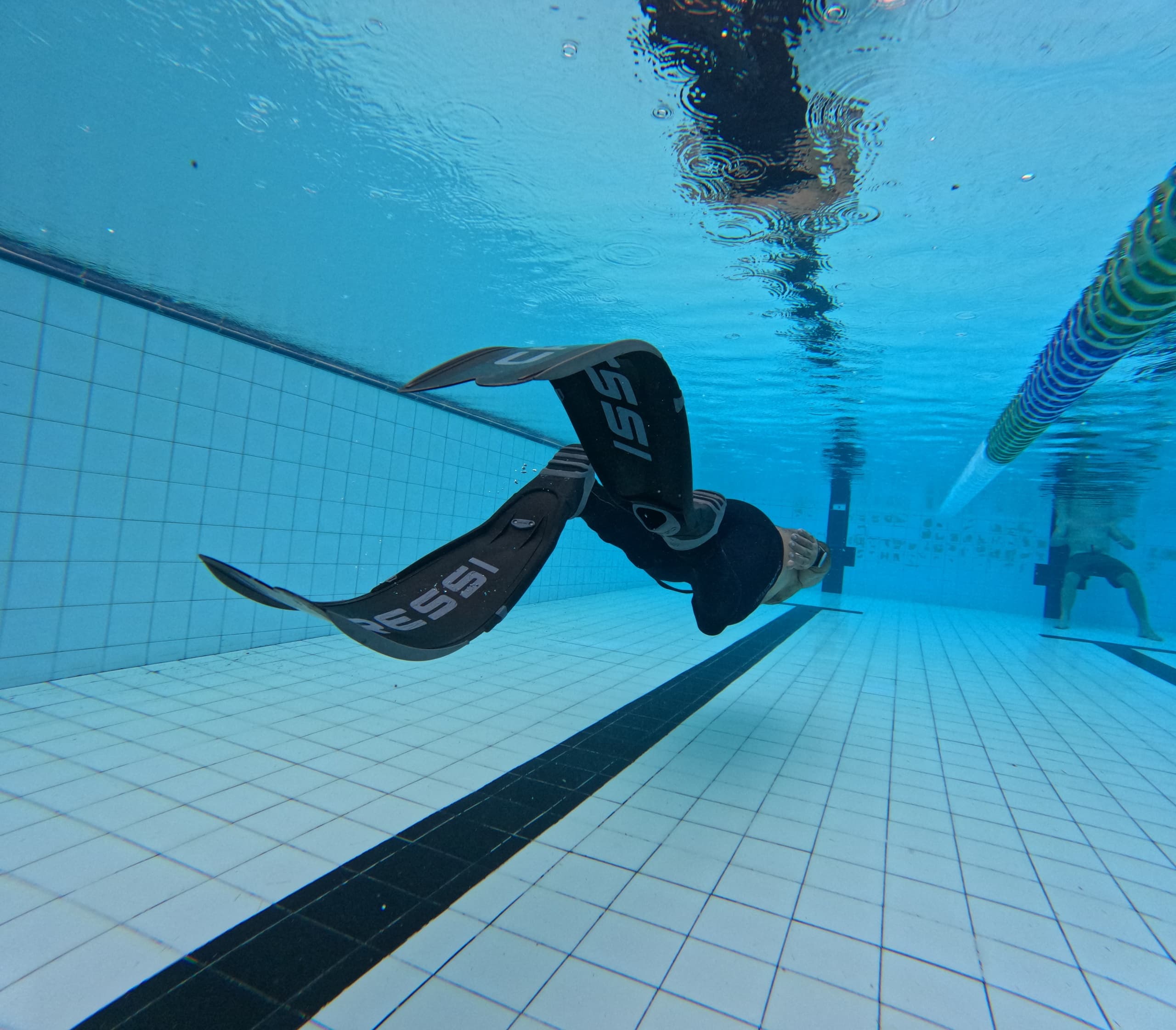 Freediving Intro with Blue Tortuga Adventures in the Pool