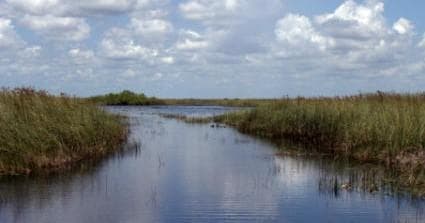 Quiet wetland canal with grassy banks and open sky, Everglades hike