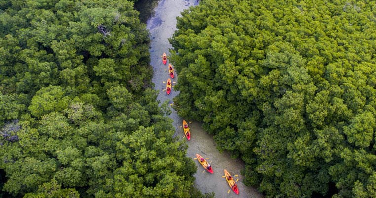Yunque River, Beach & Bio Bay Kayak Trio in Fajardo