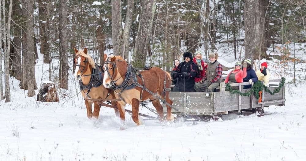 Private Horse-Drawn Rides & Bonfire in Lee, NH: Carriage and Sleigh Experience photo 2
