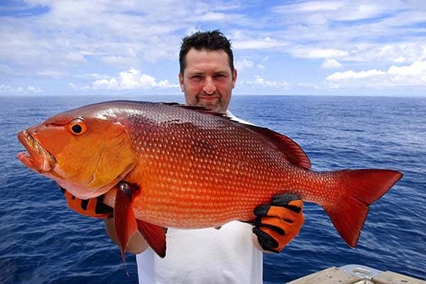 Fishing Adventures with Reelin’ Em’ N in the Gulf of Mexico