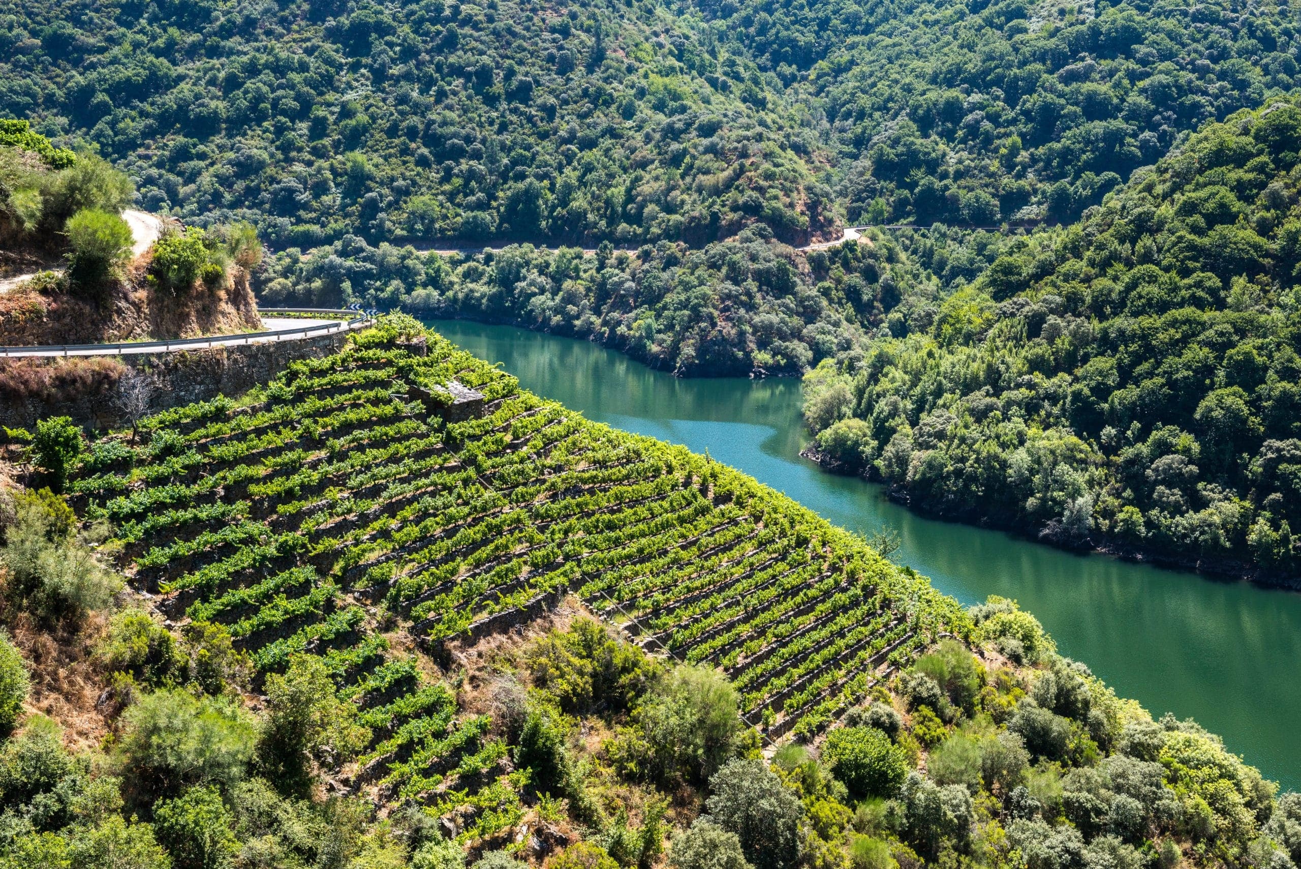 Outdoor Adventure with Tour Galicia in Ribeira Sacra, Spain
