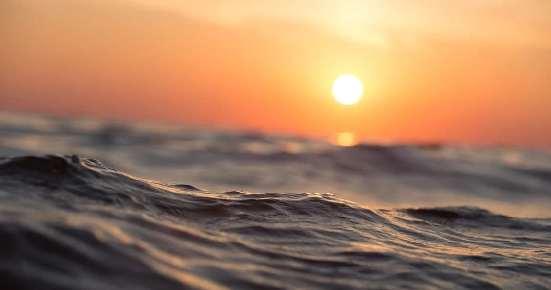 Sunset & Dolphin Cruise with Rockstar Yachts in Fort Myers Beach