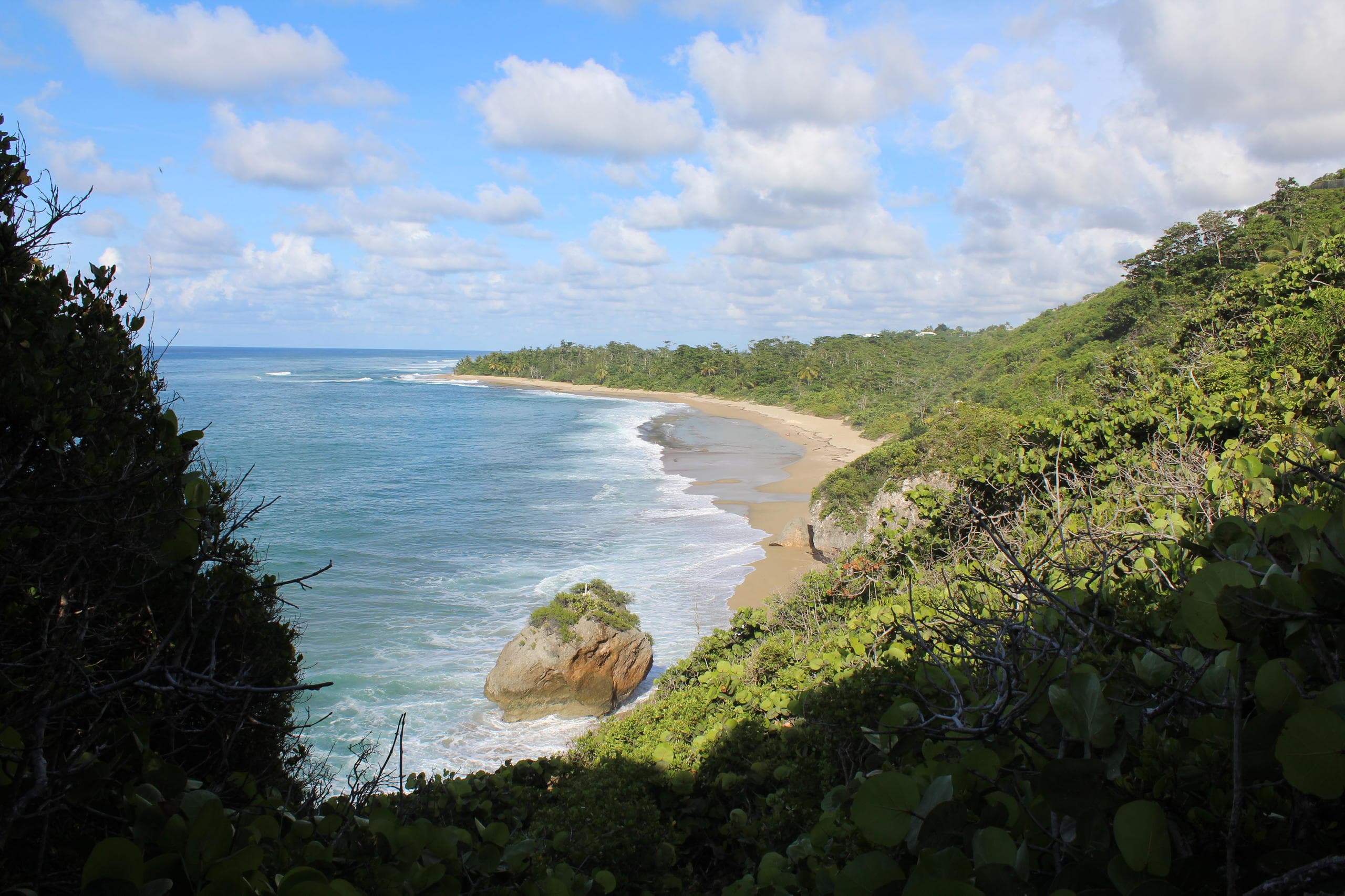 Explore Puerto Rico's West Coast on an Epic Eco Tour