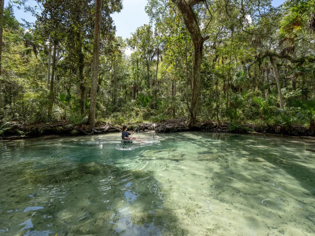 Chassahowitzka Clear Kayak Tour in Homosassa, FL