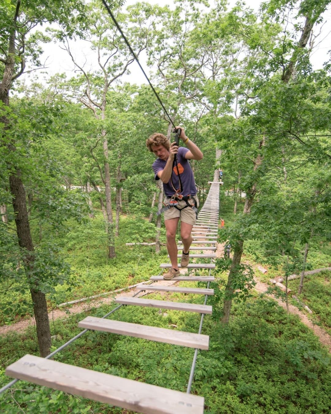 Adventurer crossing suspended plank bridge high in leafy Cape May woods