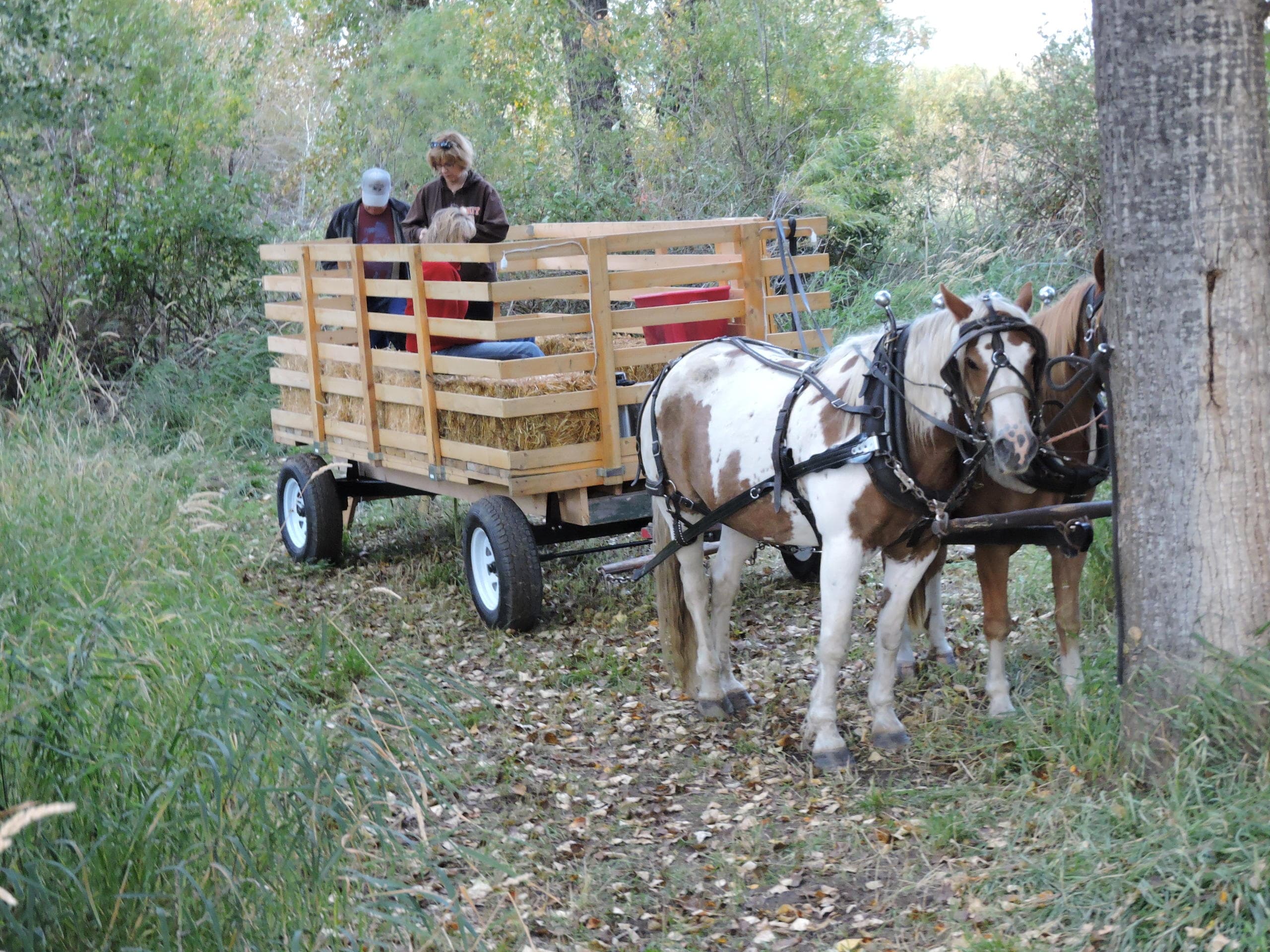 Sunrise Pack Station’s Evening Hay Ride in Bozeman